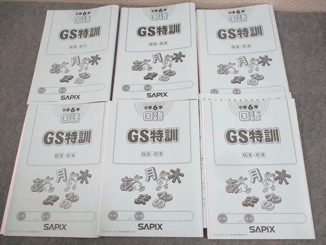WH11-142 SAPIX サピックス 小6 国語 GS特訓 GS-01～05 2022年度版 計5冊  015m2D