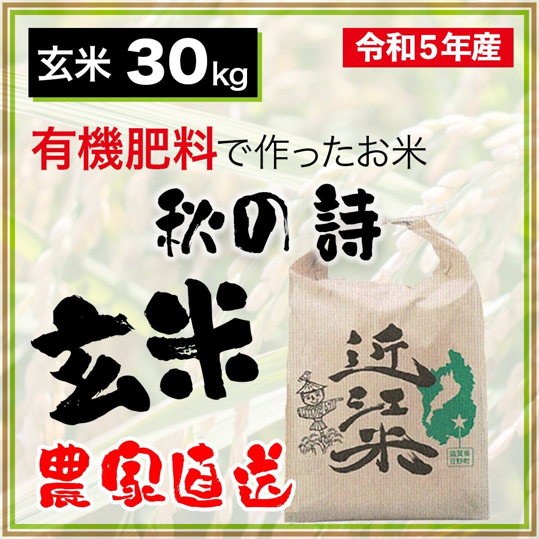 きぬむすめ 玄米（30kg） 有機肥料で育てたお米 近江米 業務用 単一原料米-