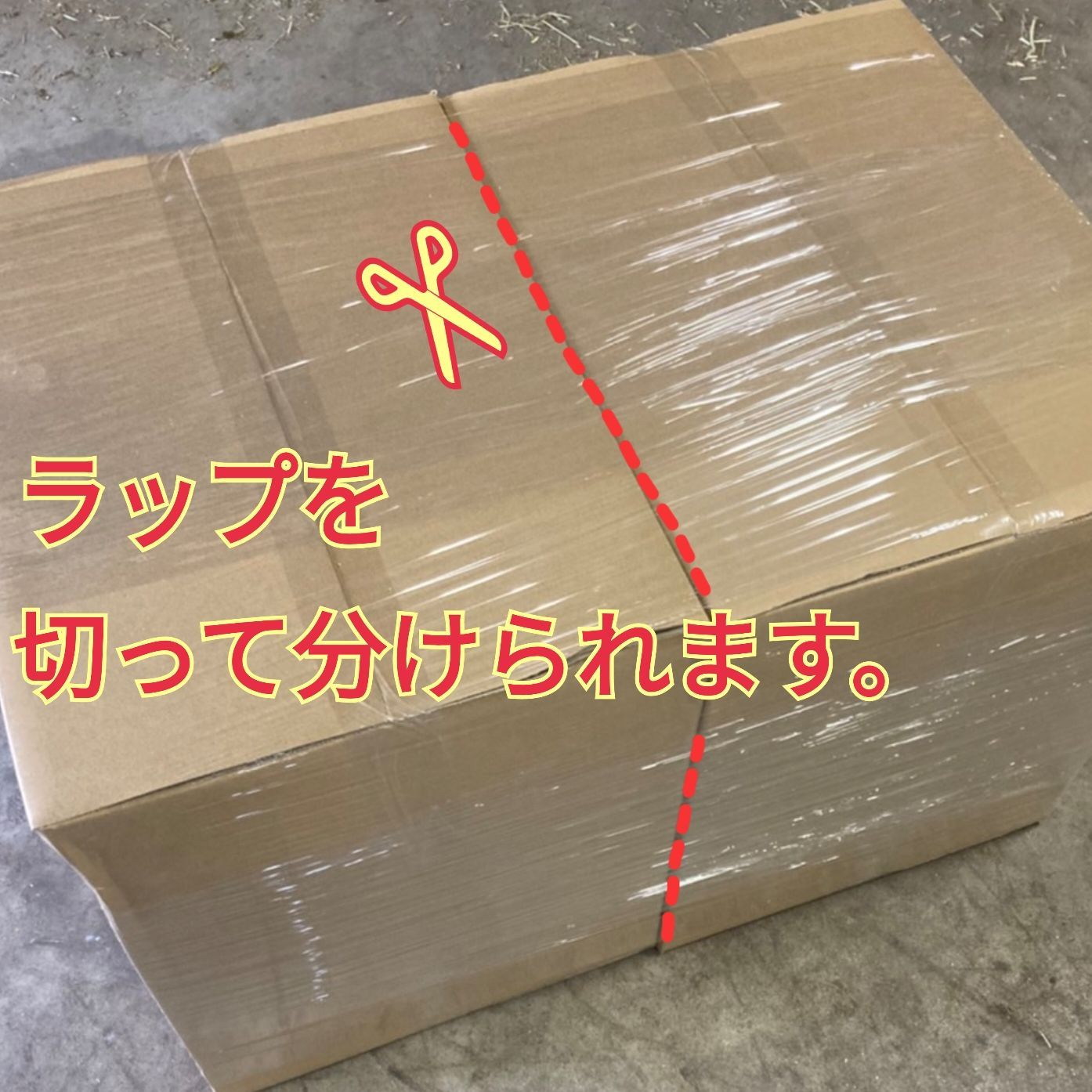 US産 チモシー