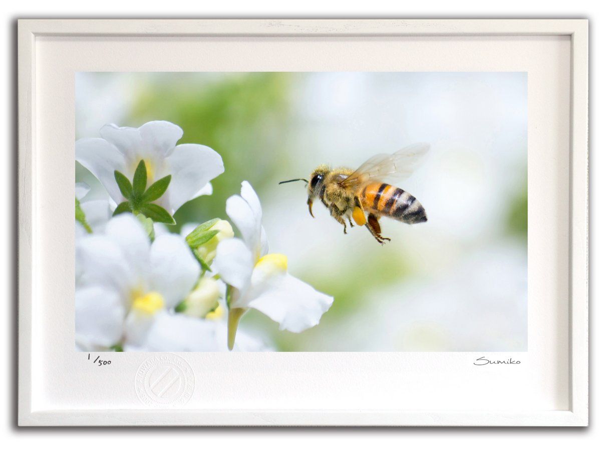 絵画 アクリル絵 額縁 キャンバス 蜂 油彩キャンバス立体額 かぶせ