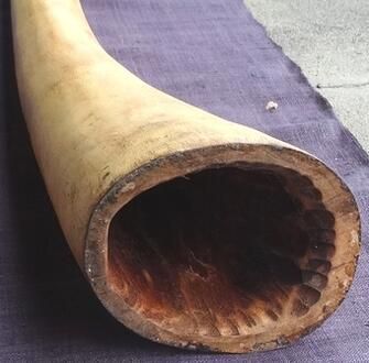 民族楽器　ディジュリドゥ　ユーカリ　ケース付き ケース付き/ティモール ユーカリ ディジュリドゥー☆ナチュラルNo.02