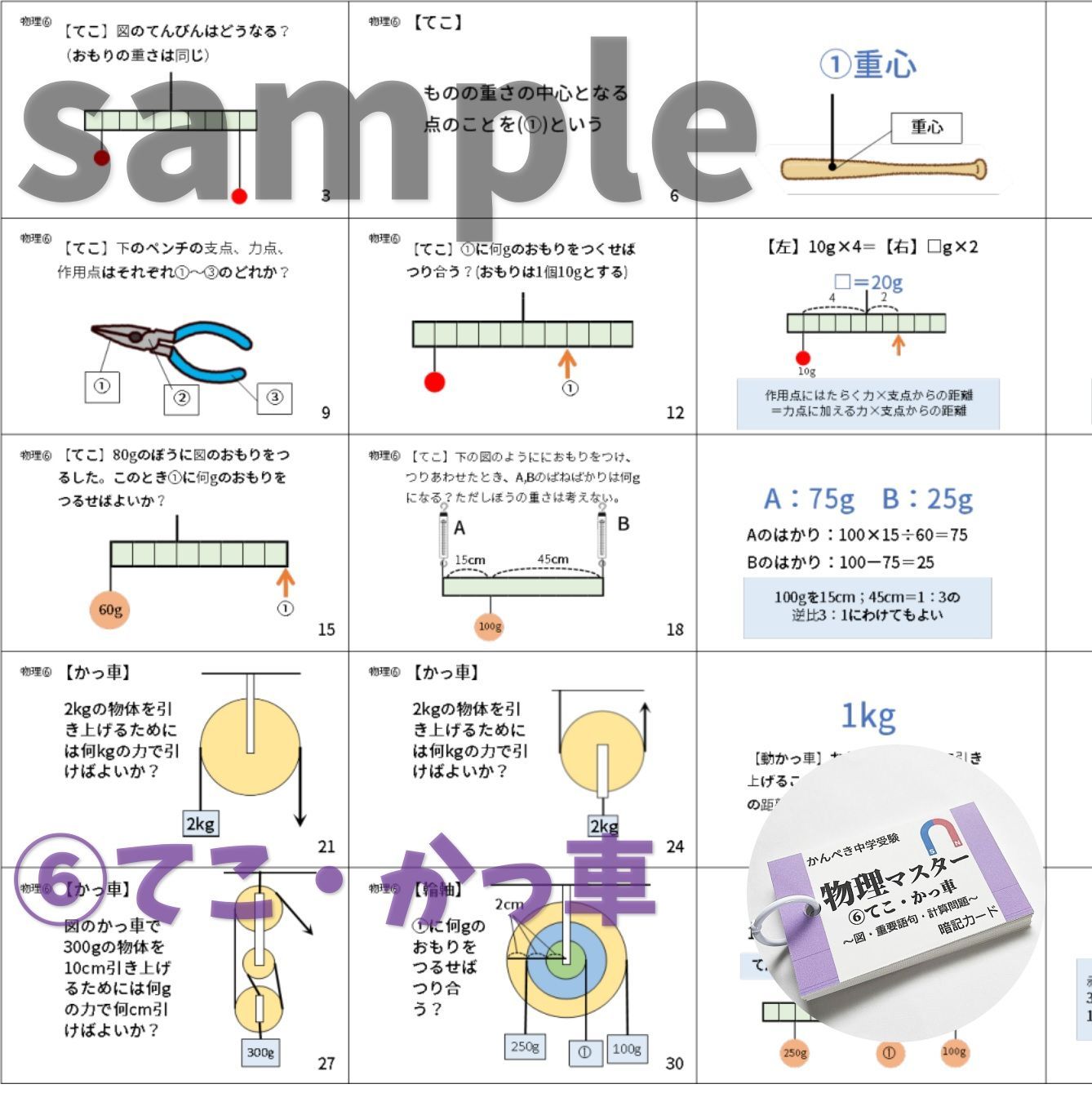 【074】生物・化学・地学・物理マスターセット　中学受験理科　テスト対策 ❗️【074】生物・化学・地学・物理マスターセット 中学受験理科