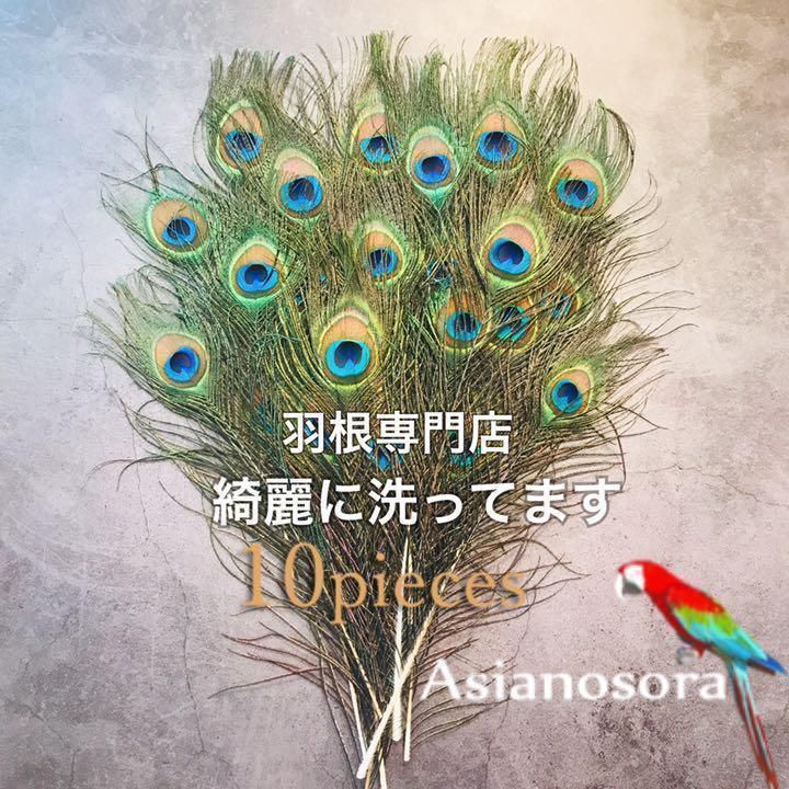 100枚■【クジャク 】孔雀の羽根 目玉 パーツ 鳥 羽根 素材 ❤️◾️⭐︎【クジャク 10枚】孔雀の羽根 目玉 パーツ 鳥の羽根