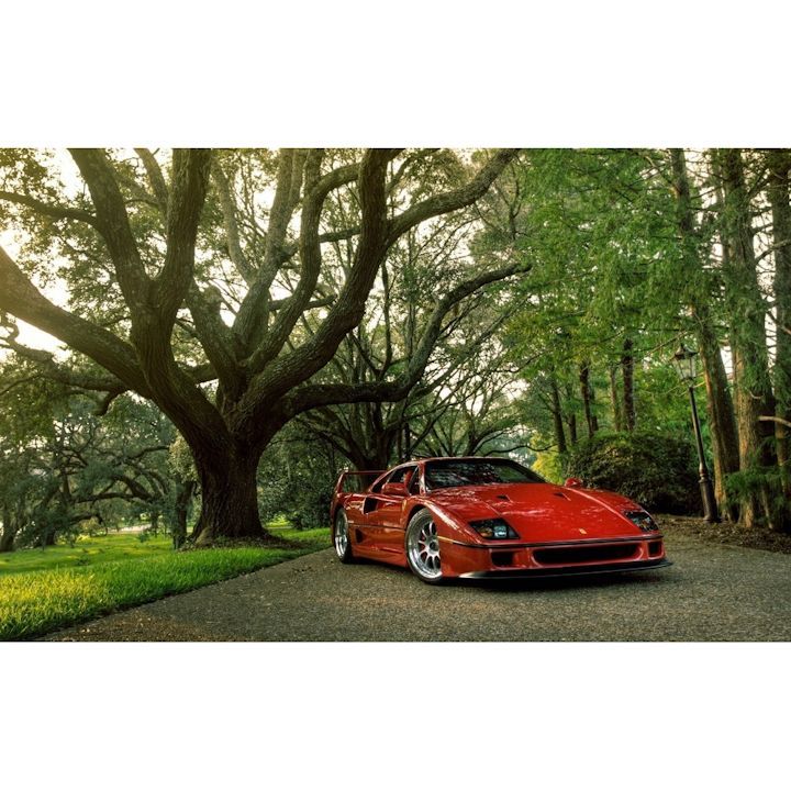 絵画風 壁紙ポスター (はがせるシール式) フェラーリ F40 LM ピニンファリーナ 1988年 スーパーカー キャラクロ FF40-004W2 (ワイド版 603mm×376mm) ＜日本製＞ ウォールステッカー お風呂ポスター