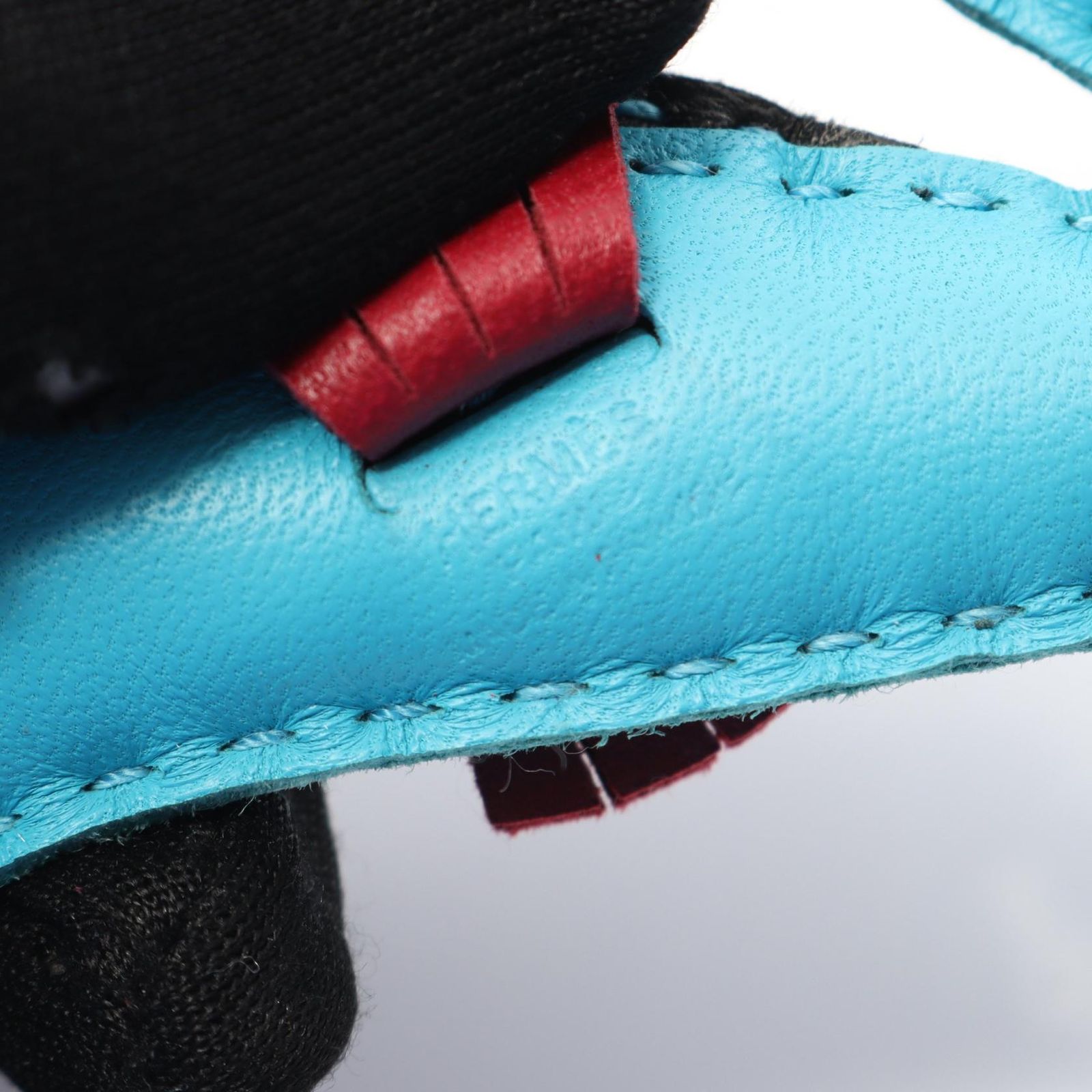 タツノオトシゴ