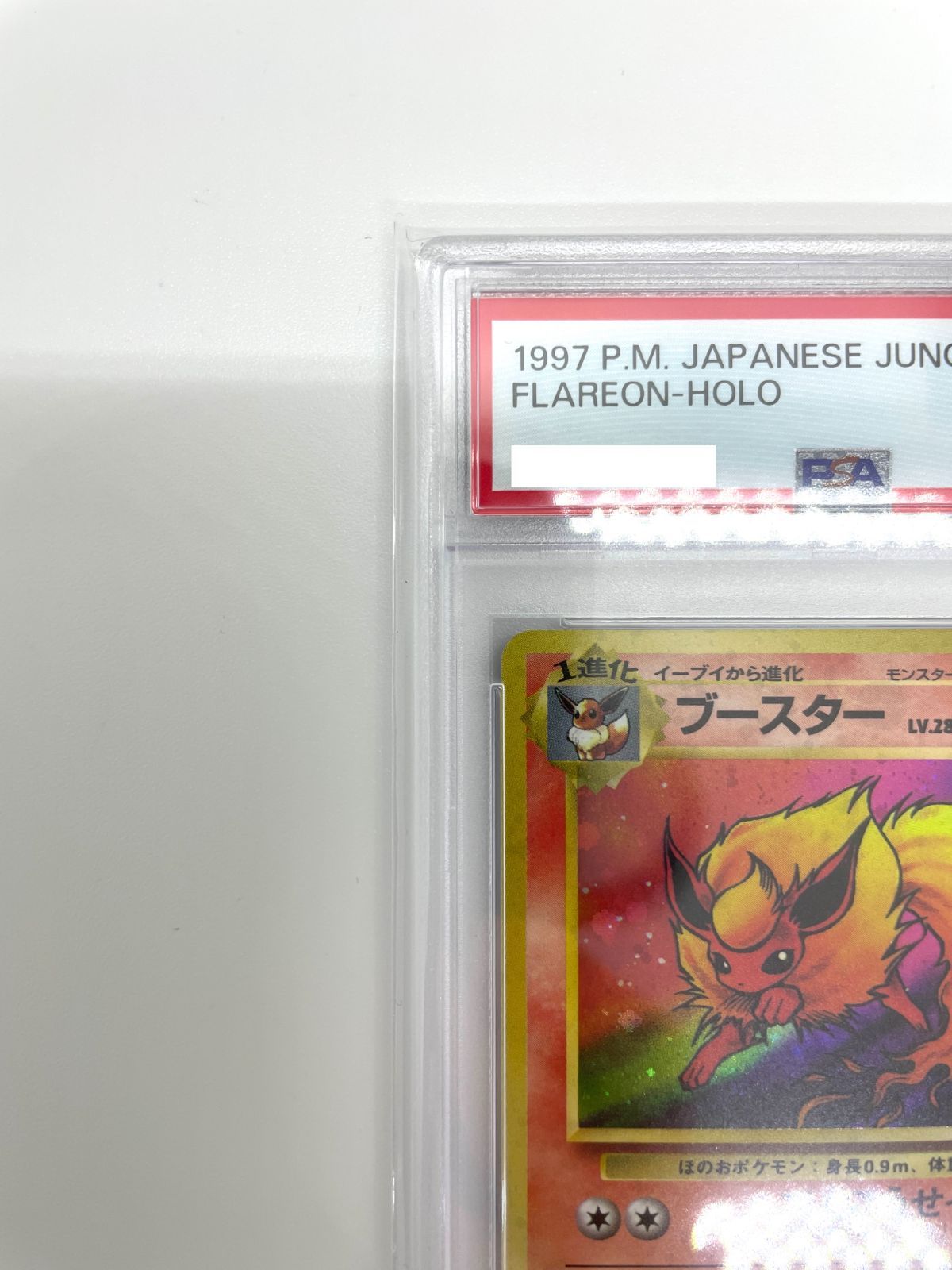 旧裏ポケモンカード　ポケモンジャングル　ブースター PSA9】旧裏 ブースター ☆ 第二弾拡張パック ポケモンジャングル