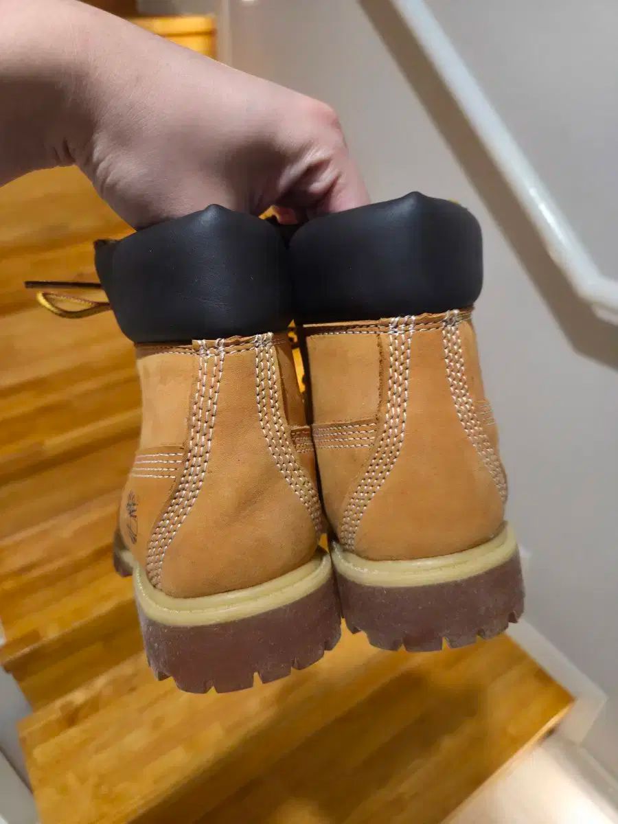 ティンバーランド 6