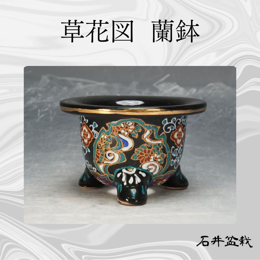 石井盆栽 草花図 蘭鉢 盆栽鉢 万年青鉢 植木鉢ｐ-111