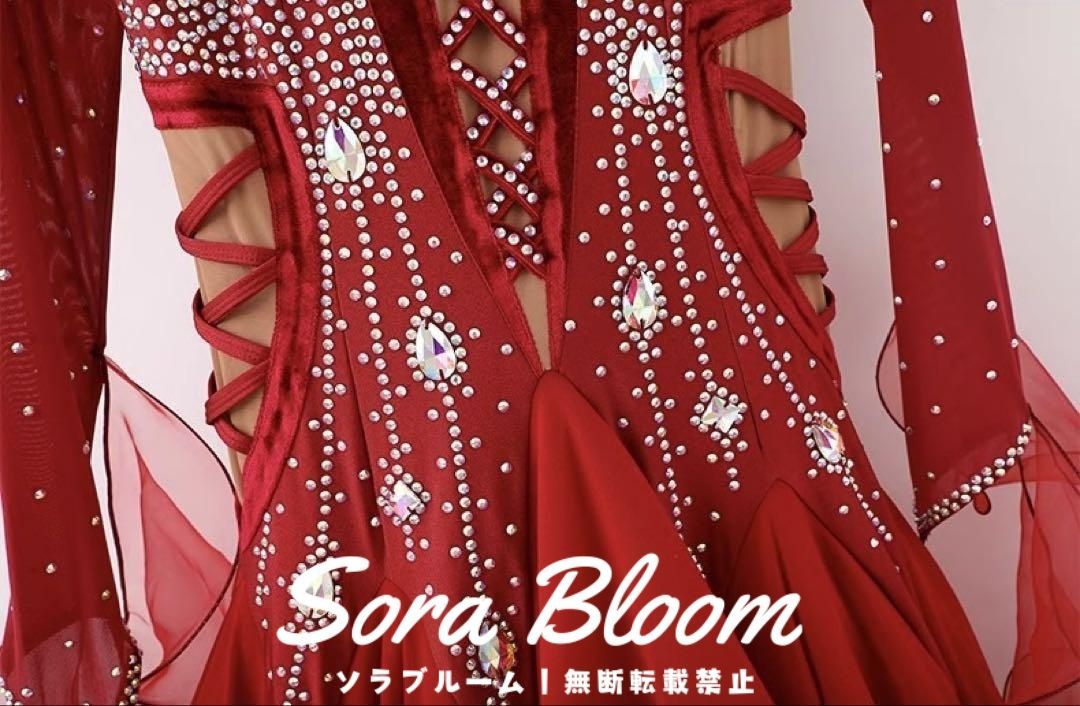 スタンダードドレス 社交ダンス 装飾 ゼブラ柄 バイカラー スタンダードドレス 社交ダンス 装飾 ゼブラ柄 バイカラー（楽天