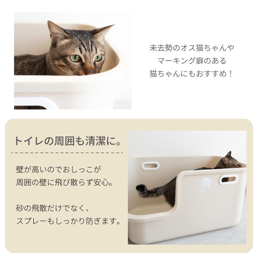 大きめ