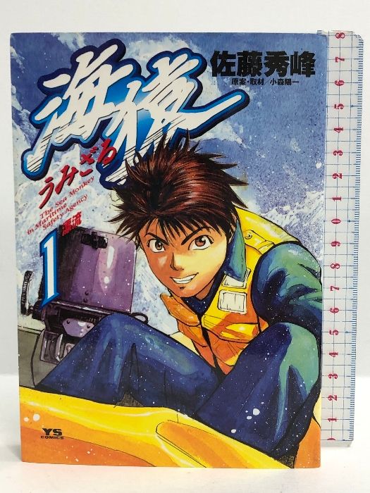 海猿 コミック 全12巻揃い（ヤングサンデーコミックス） 小学館 佐藤  