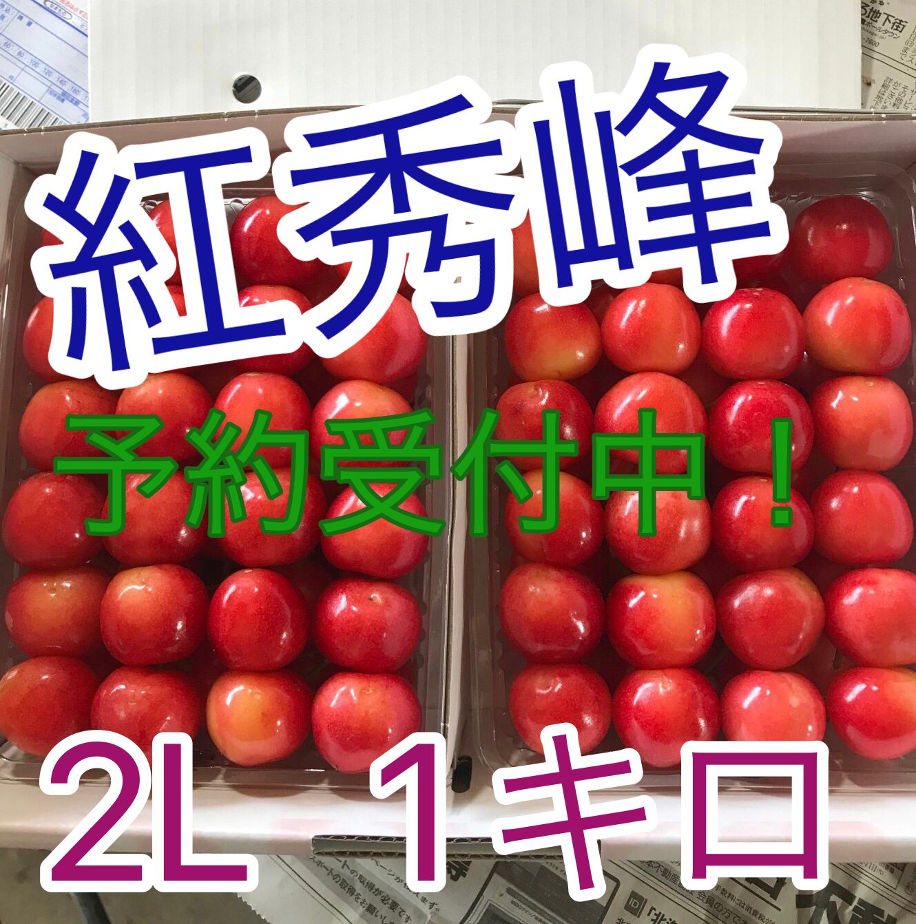 【予約受付中】さくらんぼ紅秀峰2L1キロ