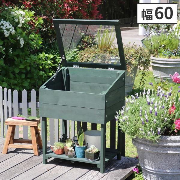 モスポール水苔入り済 生産プロの秘訣植物用上り棒60本まとめ29cm