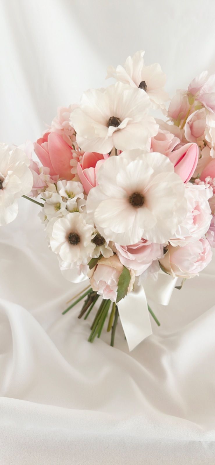 クリスマスローズ 開花実績株 DDレッド クリスマスローズ 開花実績株