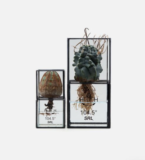 NEIGHBORHOOD SRL HYDROPONICS POT 231MYNH-AC23 - メルカリ