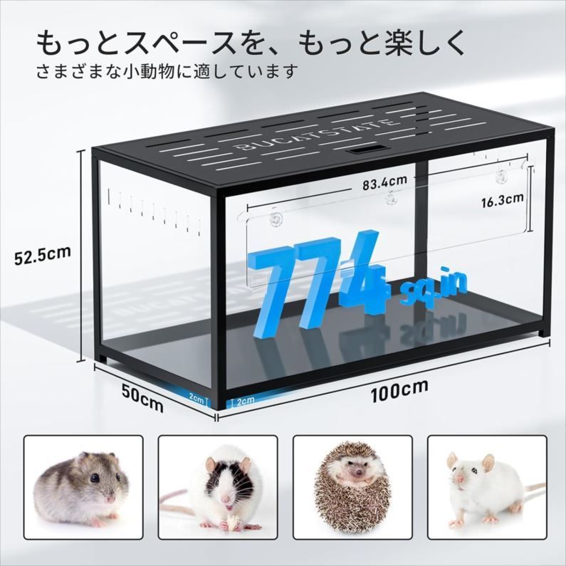 爬虫類