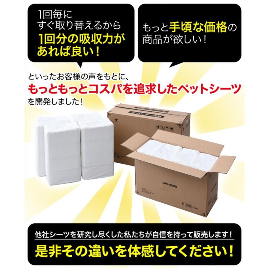 レギュラー 800枚入