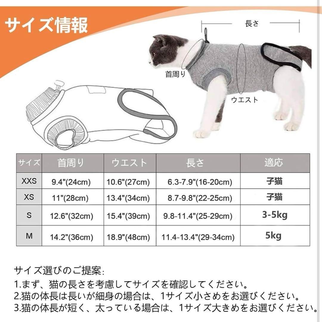 猫 術後服
