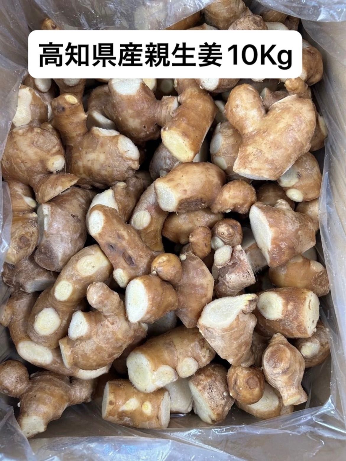 高知県産親生姜10Kg