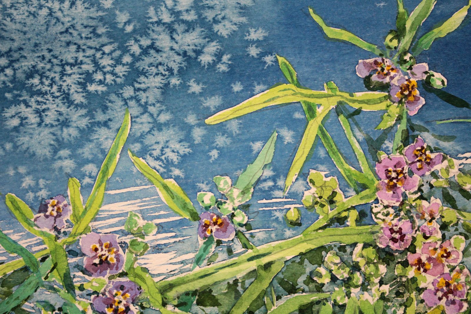 星野恒隆 「紫露草」 水彩画 絵画 星野恒隆 『紫露草』 水彩画 - 北海道画廊