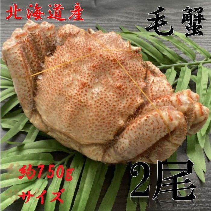 ?午後 ? 特大 毛蟹 約750gサイズ 2尾セット 冷凍 ボイル 毛がに