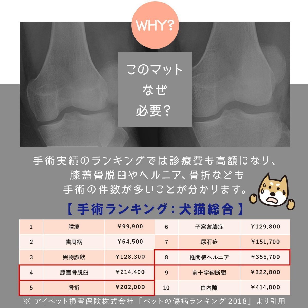 同色2枚セット ペットマット床暖房対応抗菌滑り止めマット犬猫マットスリムペットマット滑らないDogzariズレない大判低反発フロアマット玄関マット防水カーペットecf04マットレス犬用猫用