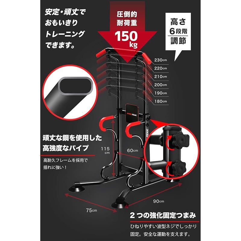 パイクスピーク ぶら下がり健康器