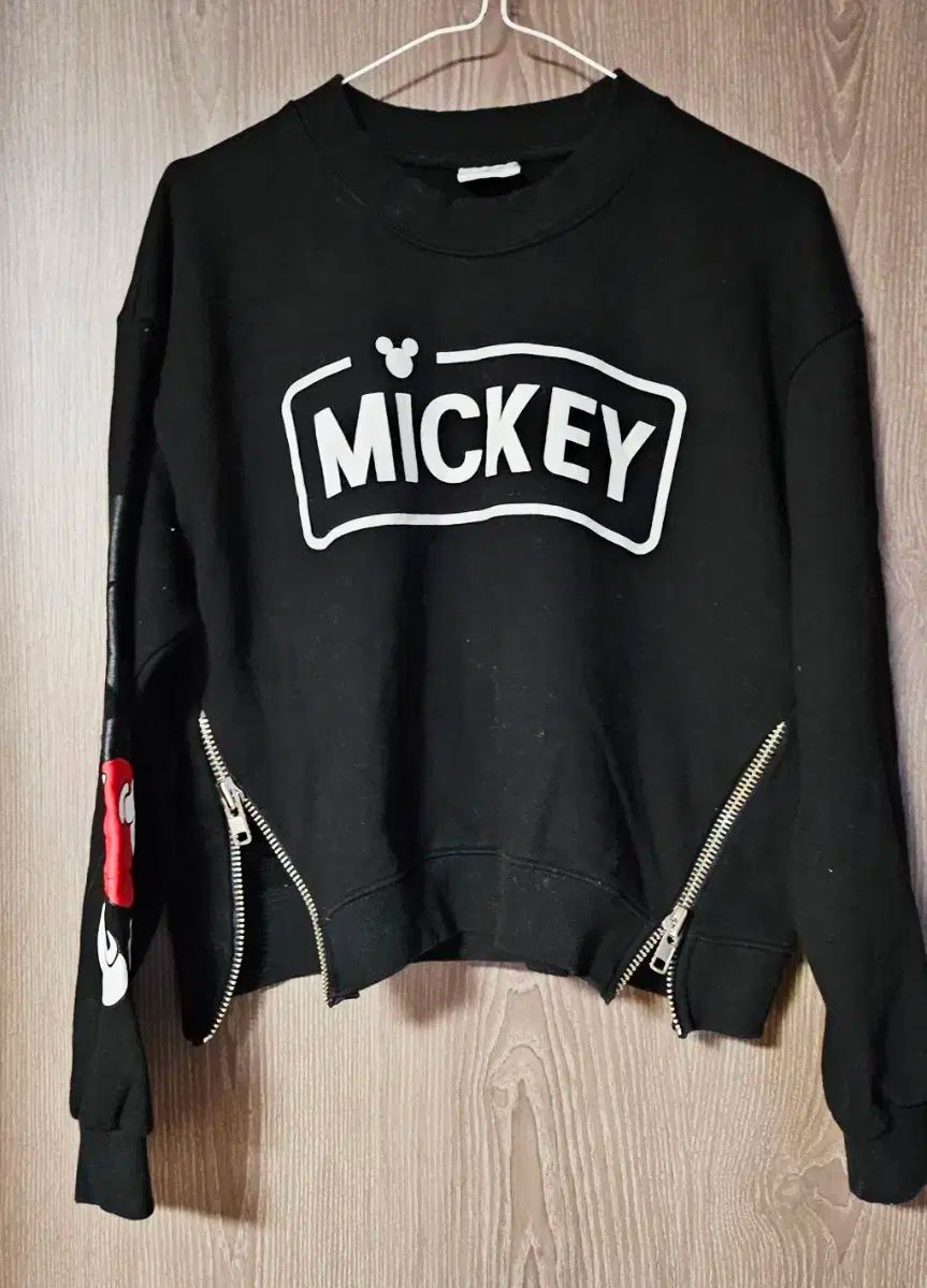 Disney(ディズニー) トレーナー ー z トレーナー スウェット Disney