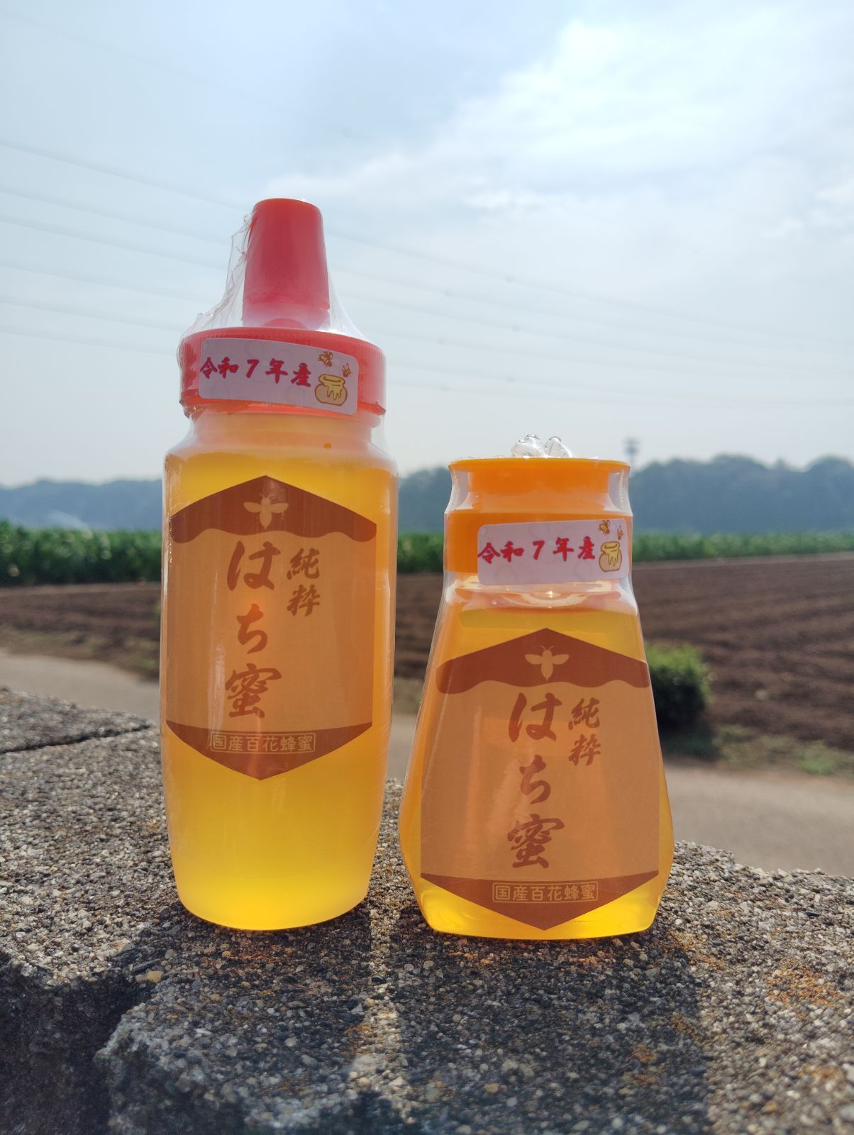 国産純粋蜂蜜（百花蜜）令和7年度産 250gと150g2本セット