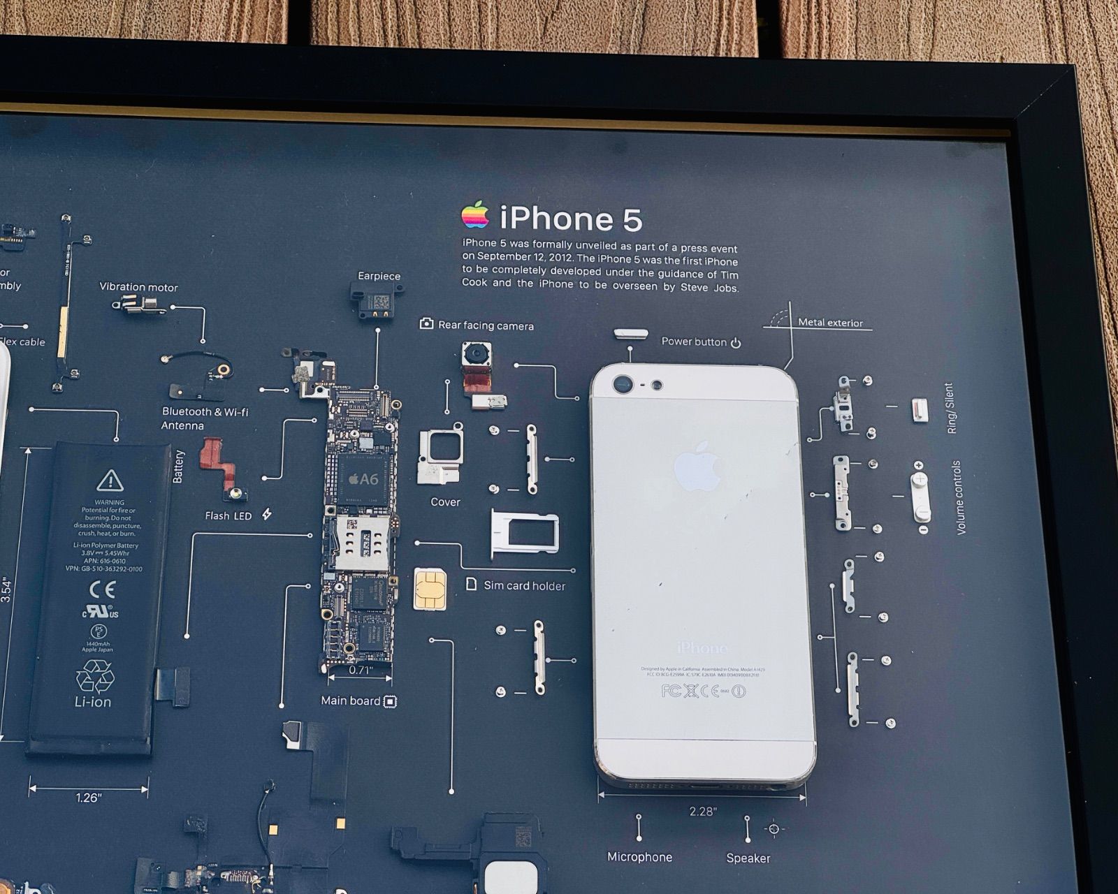 iPhone 5 White 標本アート ボックスフレーム - メルカリ