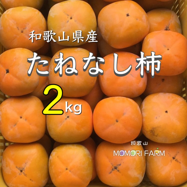 和歌山県たねなし柿 - 3
