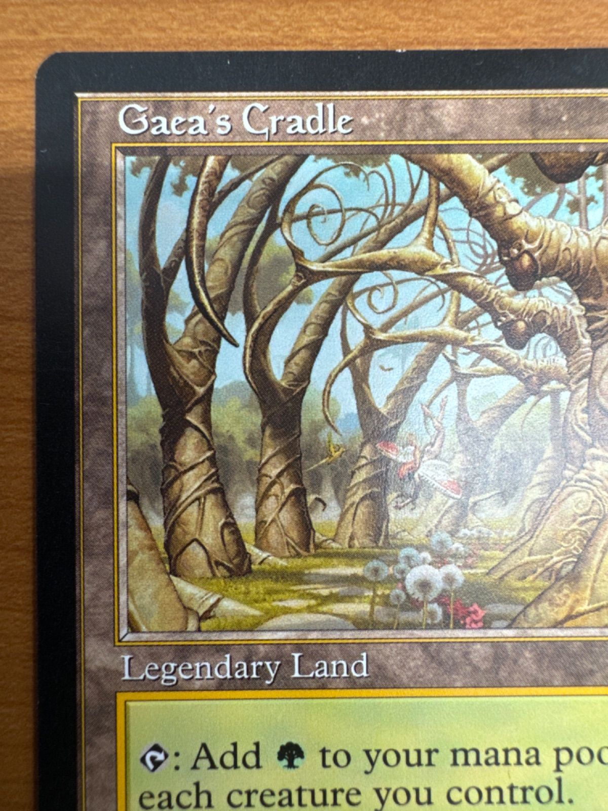 ガイアの揺籃の地　英語 貴重】ガイアの揺籃の地｜EN｜英語版｜USG｜土地R｜MTG｜Gaea's