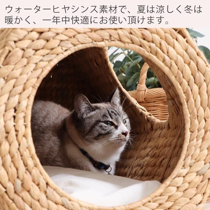 猫 ネコ