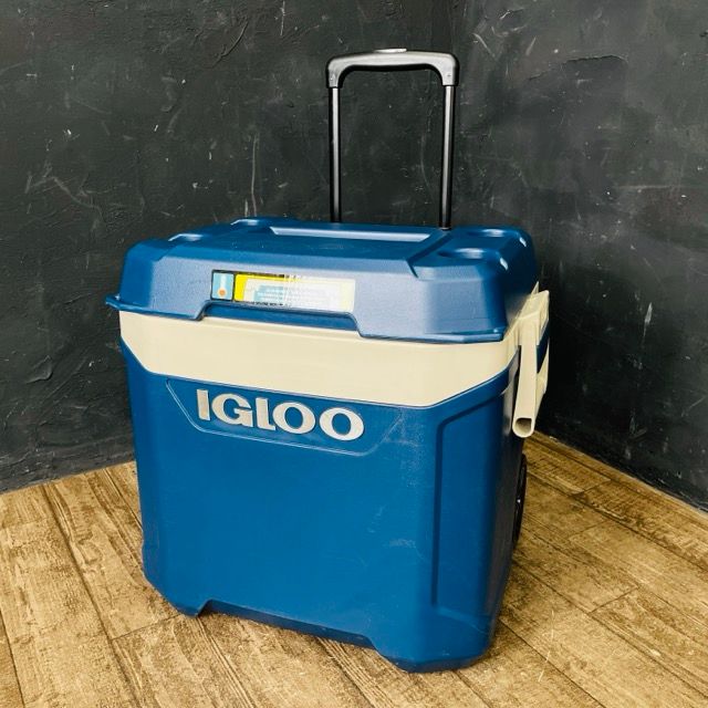中古 R.E.G. O-K MAX SPECIAL コバルト 31 a2404944-1.jpg
