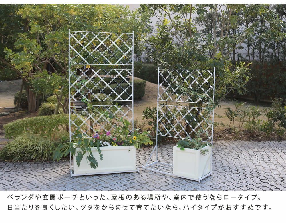 アイアン