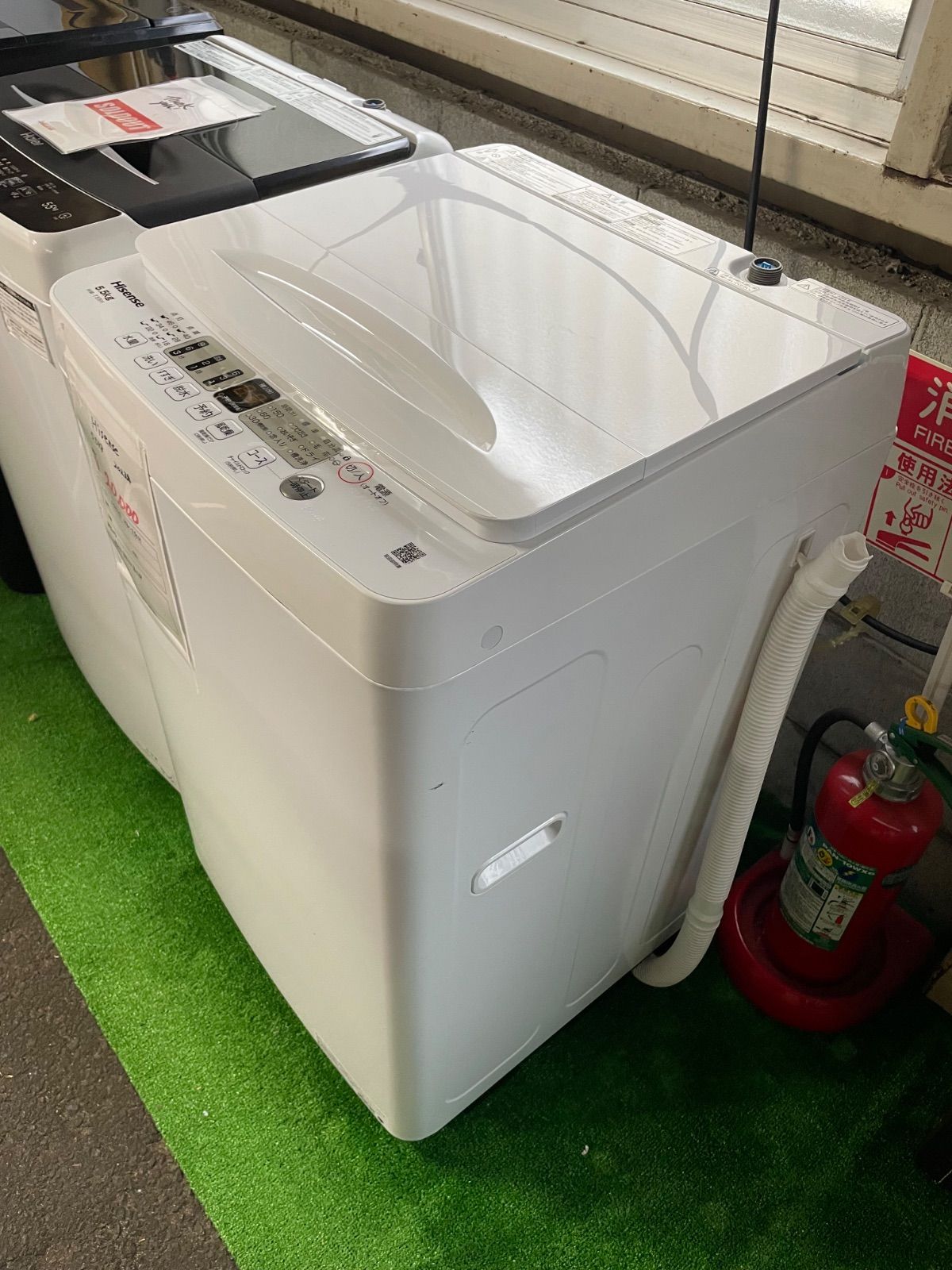 2025年製 Hisense 5.5kg HW-T55H 洗濯機