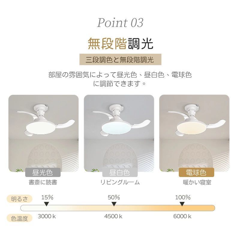 ファン