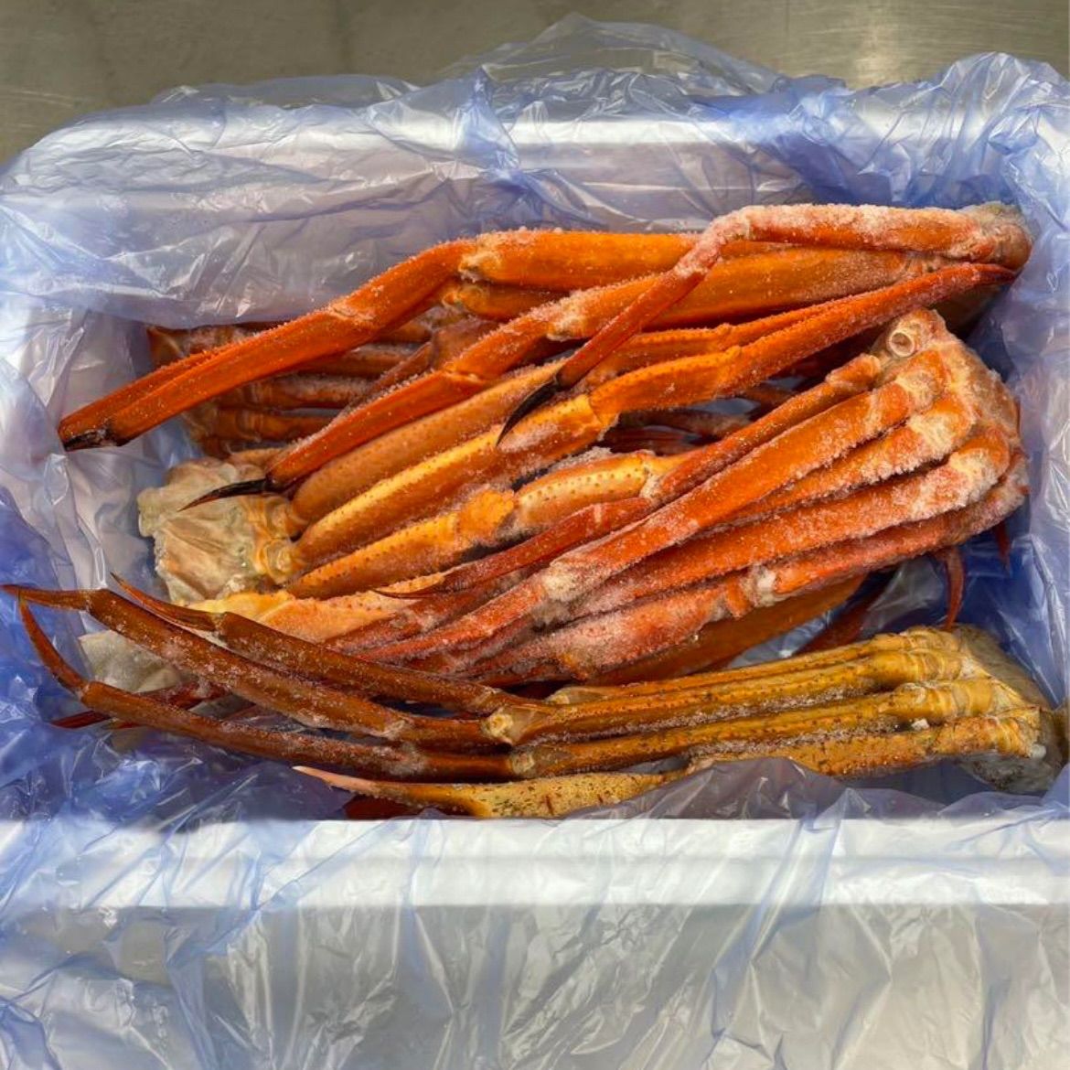 トゲズワイカニ 1.5kg - 魚介類(加工食品)