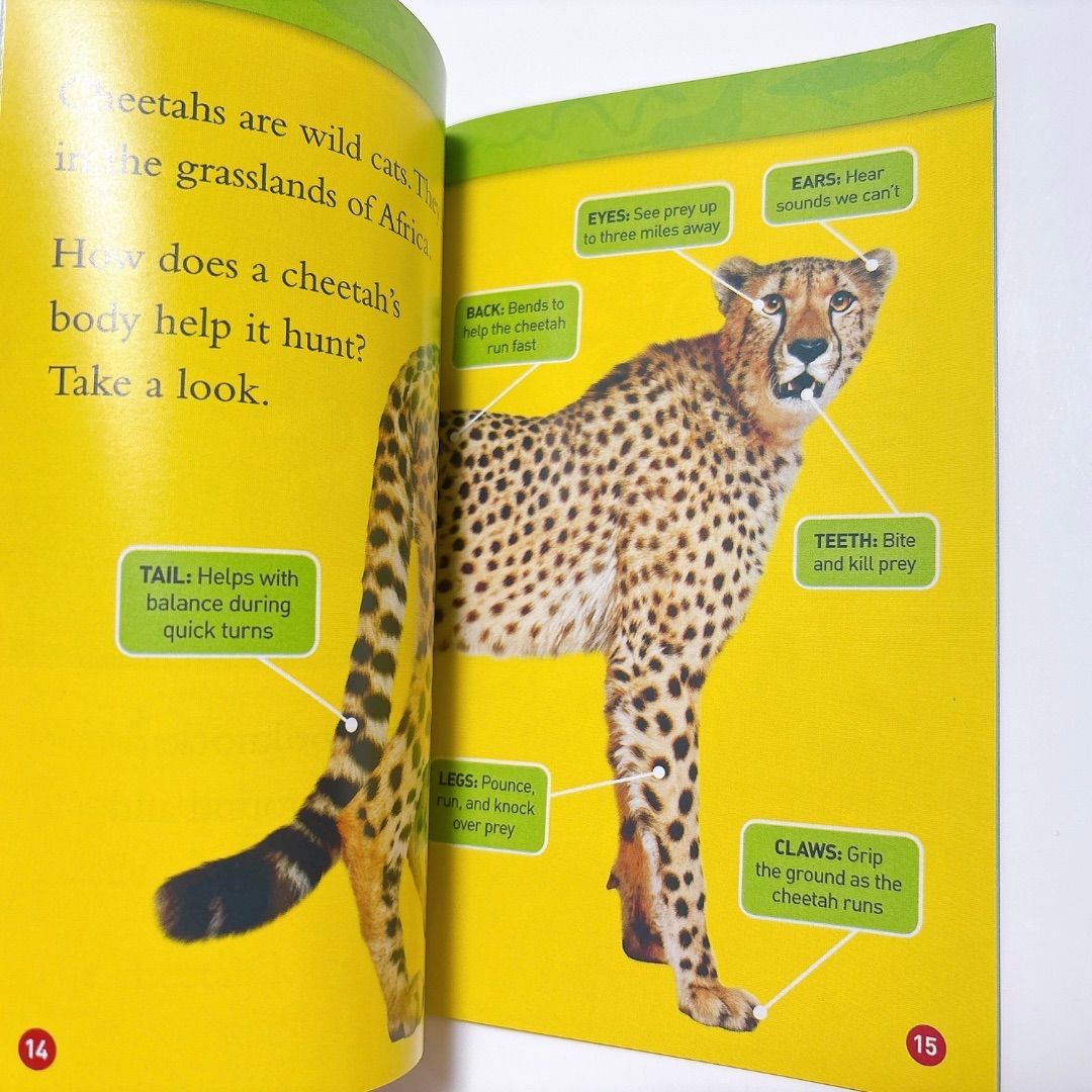 National Geographic Kids 絵本 155冊セット National Geographic Kids 絵本 155冊セット 本