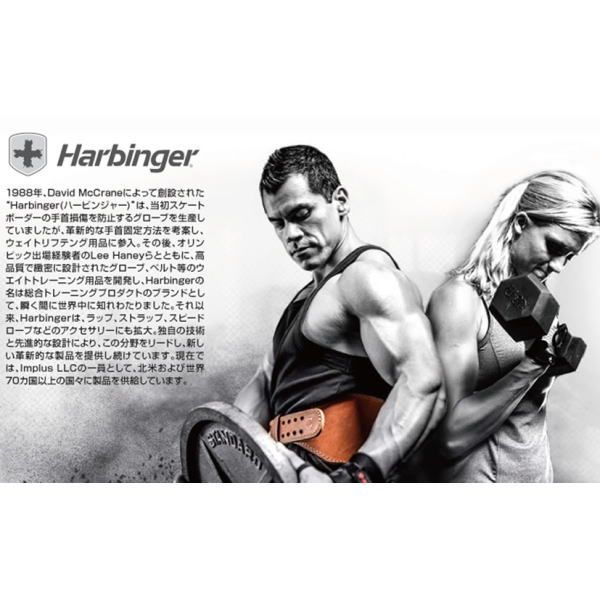 HARBINGER ハービンジャー 筋トレ トレーニングベルト ヘックスコアベルト 男性用 022155 Lサイズ