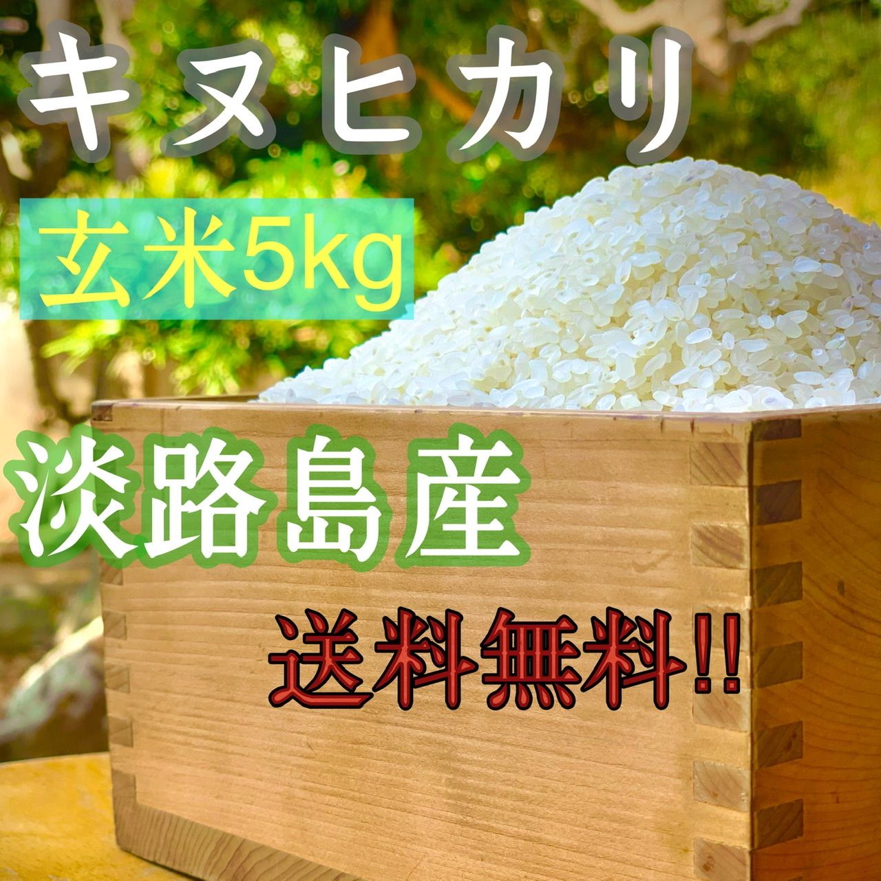 メルカリShops - 新米 令和3年産 キヌヒカリ 玄米 5キロ 淡路島産 5kg