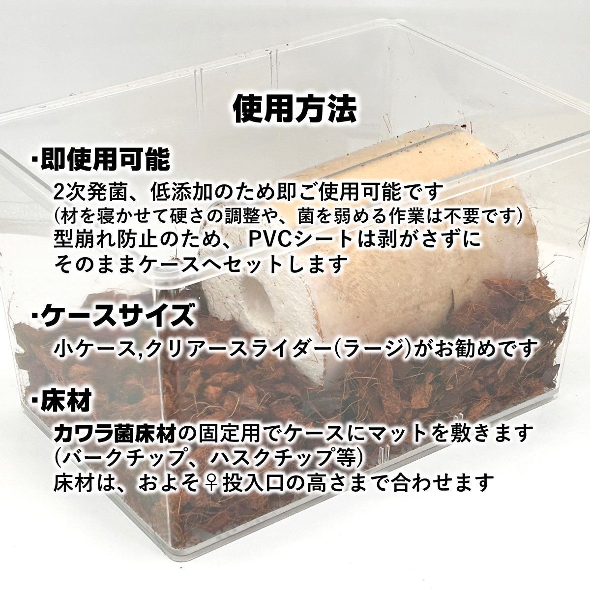 割り出し採卵