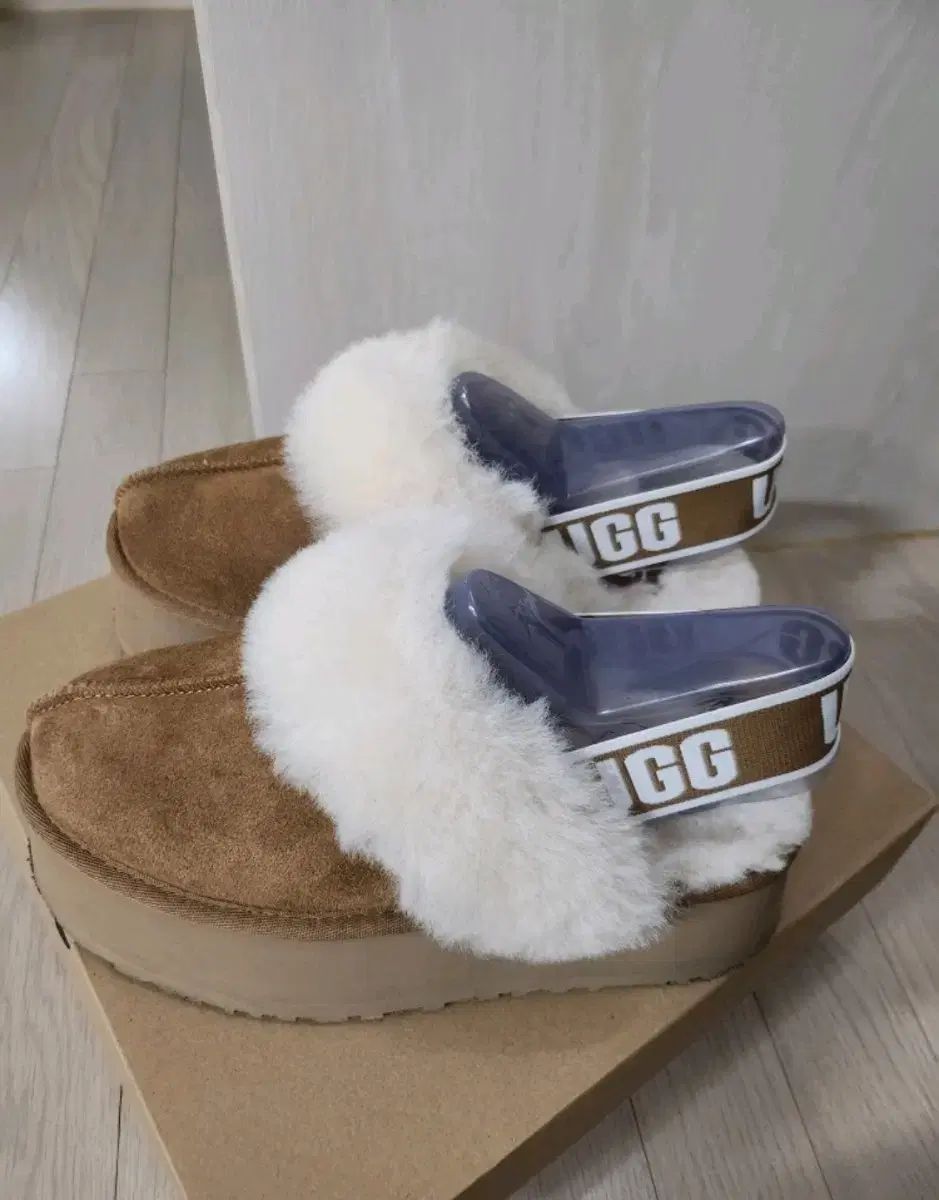 アグ コケット