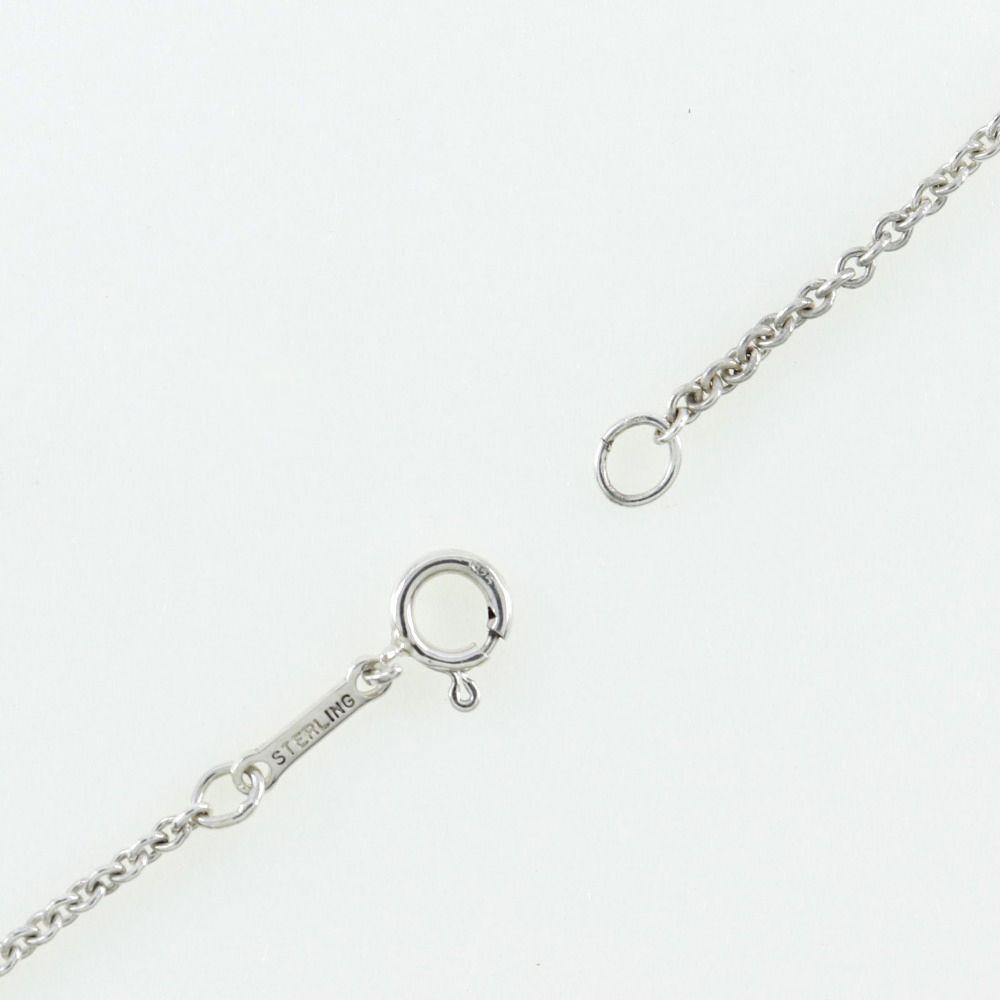 美品　ティファニー　アップル　ペレッティ　シルバー925 ネックレス　ロゴ TIFFANY&Co. ティファニー ネックレス アップル りんご エルサ