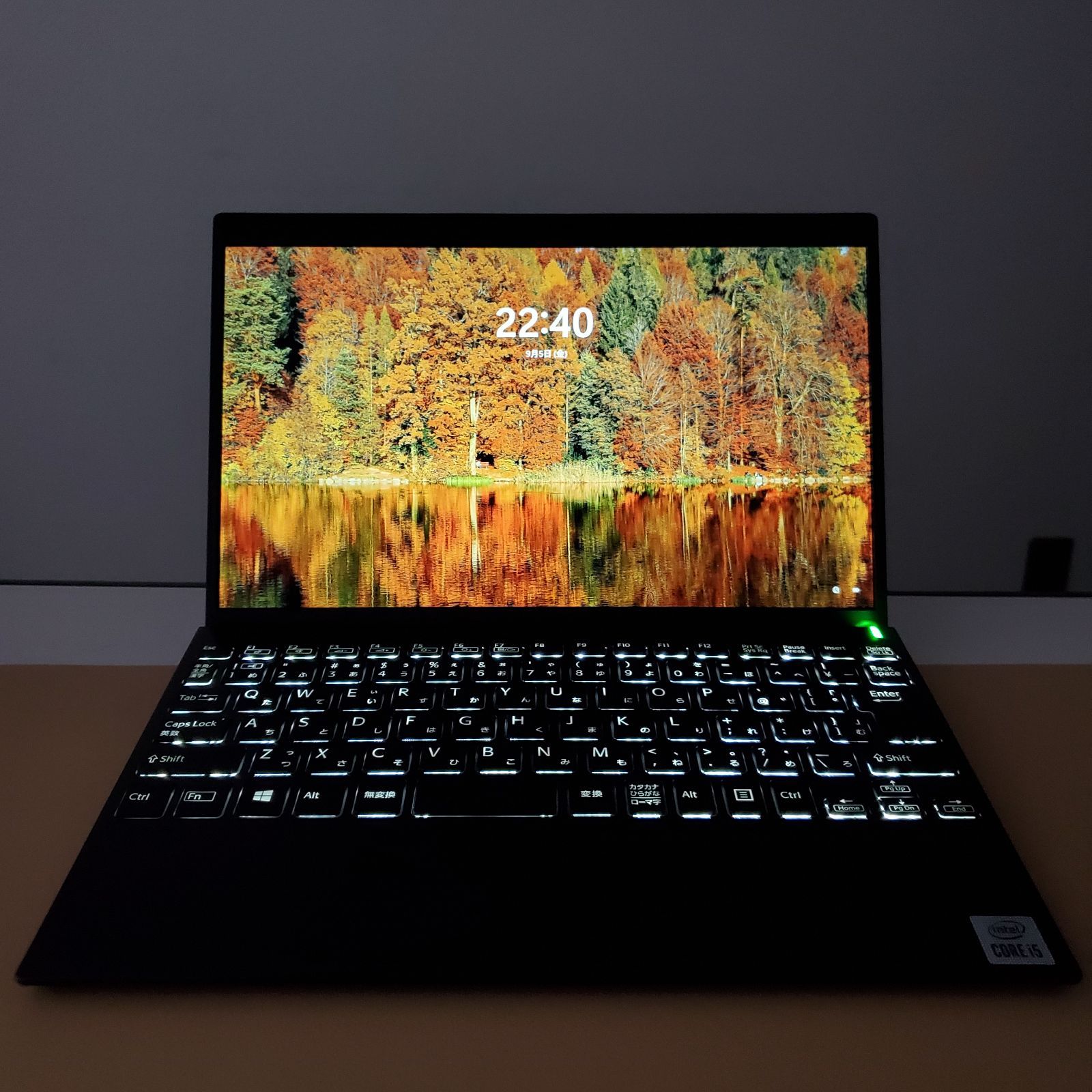 掛軸　桃花萬家宴　極楽寺西垣宗興書　雛の絵　美山作　栞　共箱　紙箱S1005KJ 掛軸 桃花萬家宴 極楽寺西垣宗興書 雛の絵 美山作 栞 共箱 紙箱