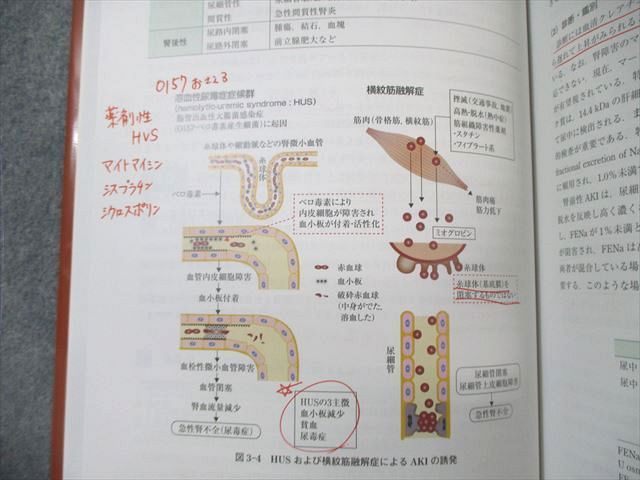 分子病態薬物治療学