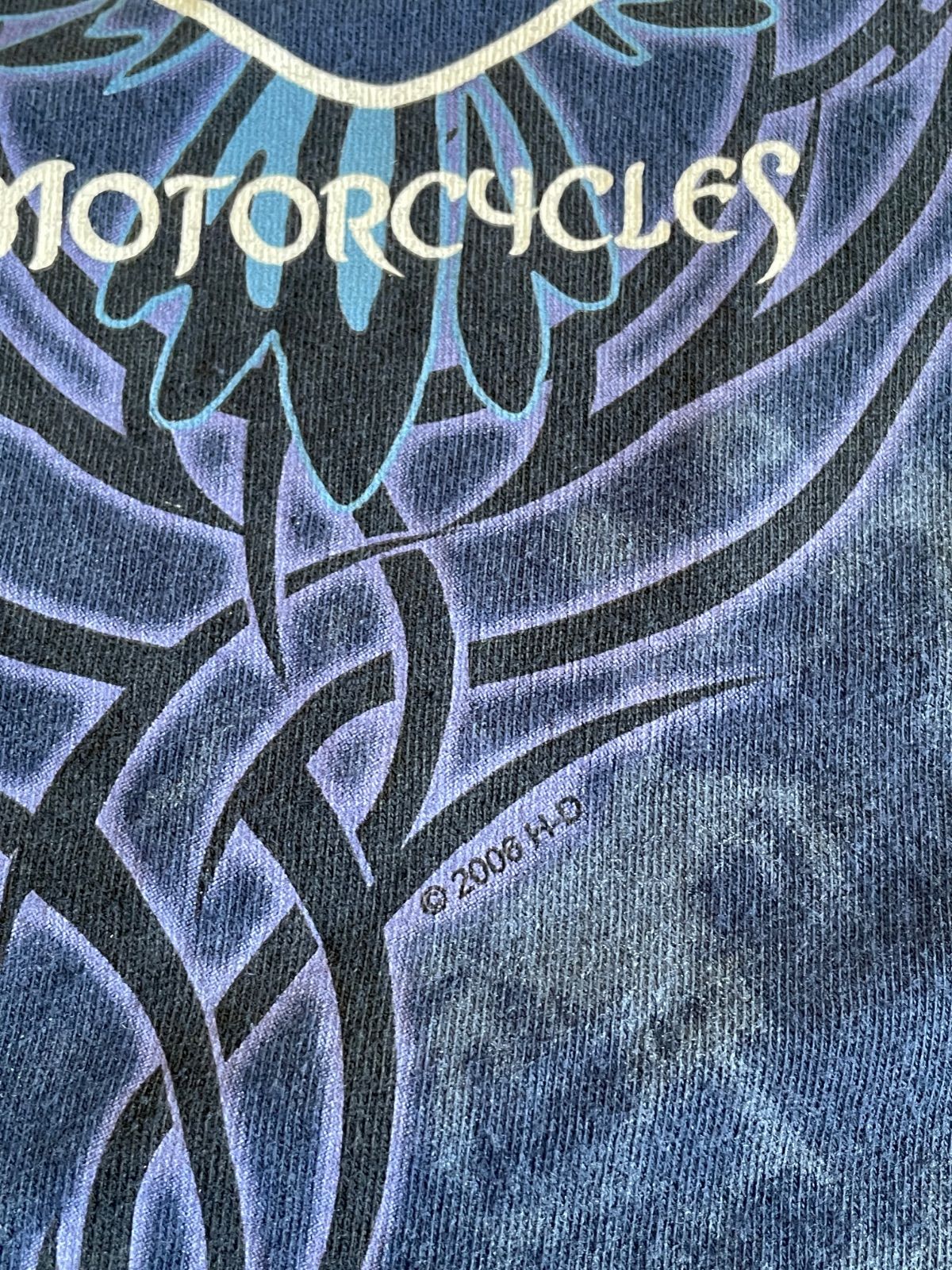 ハーレーダビッドソン Harley Davidson ロンT ブルーフレイム 00s