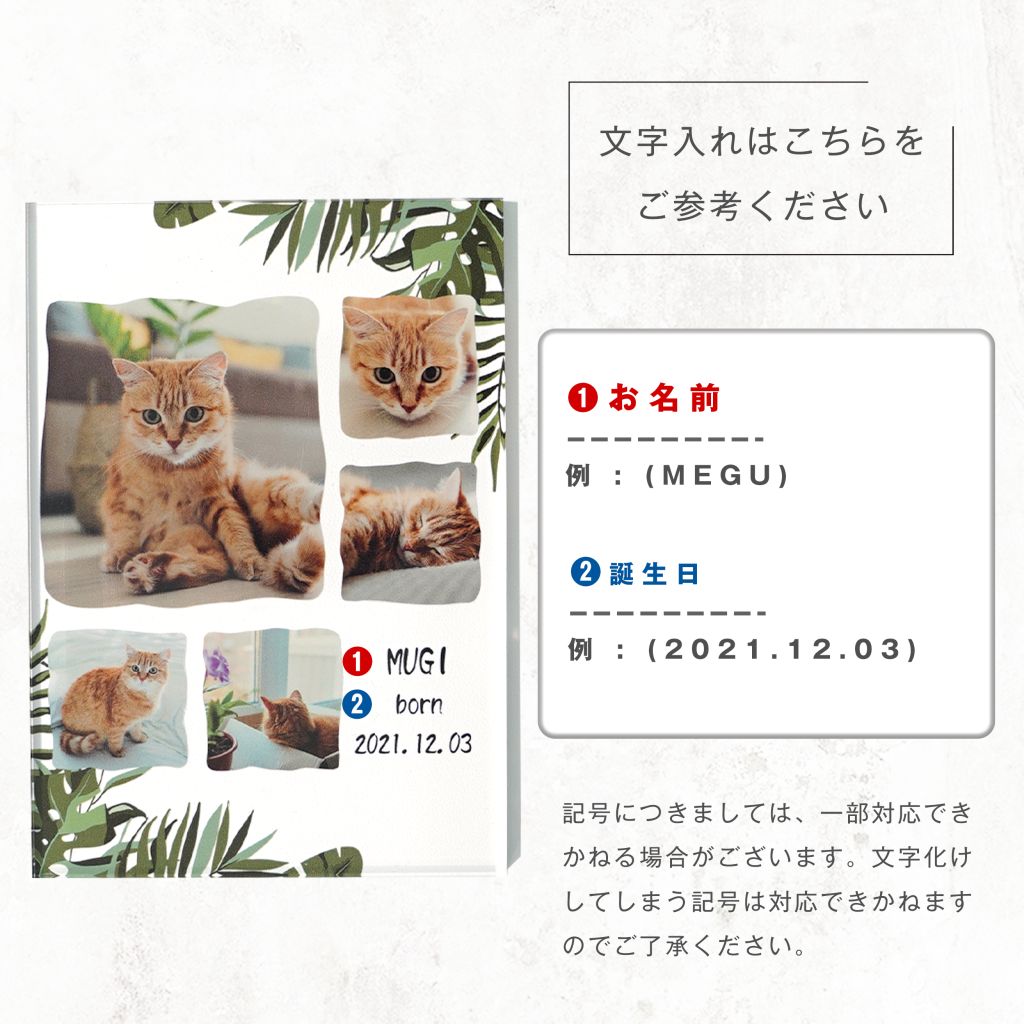 オーダーメイド pet フォトパネル 【Mサイズ】 にゃんこ 家猫 家族 - メルカリ