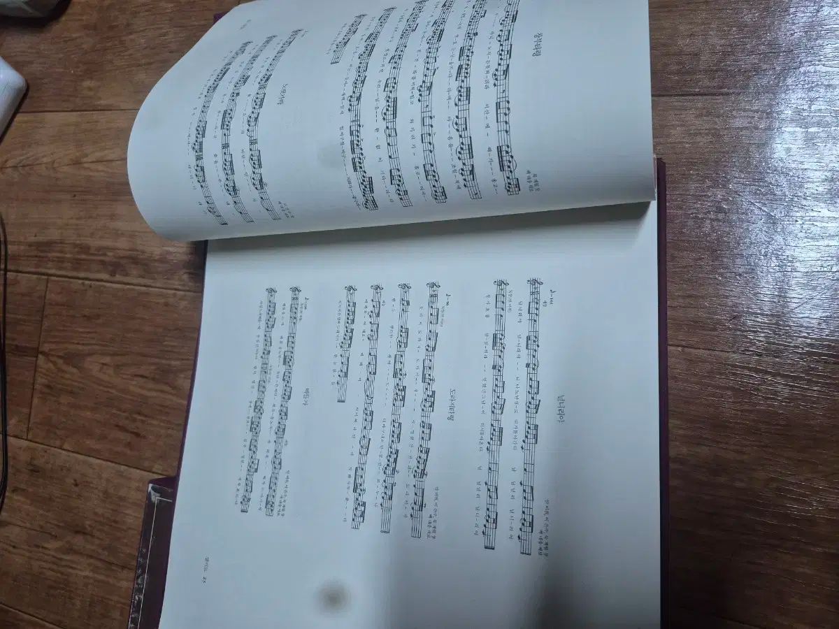 幅広い品揃え。 ブリタニカ 根の深い木 팔도소리 lp コンプリート