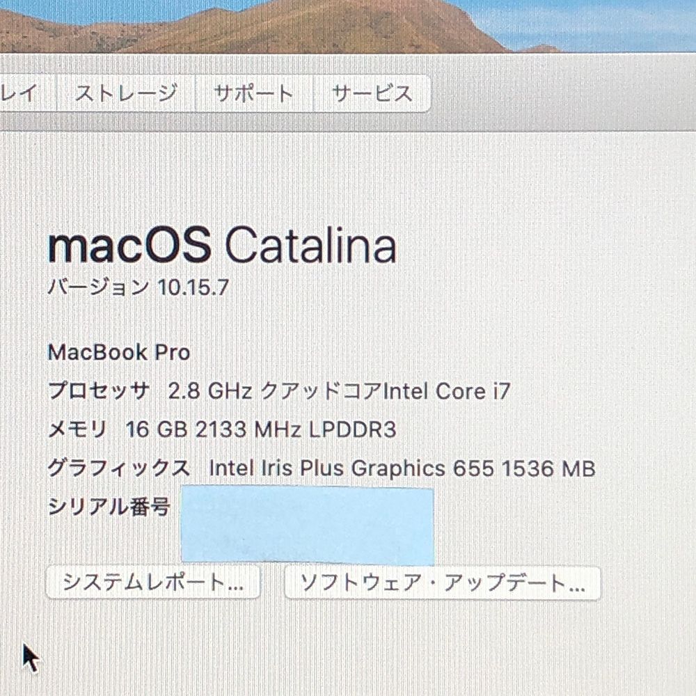 ◇ジャンク品・本体のみ◇Apple MacBook Pro (13インチ, 2019